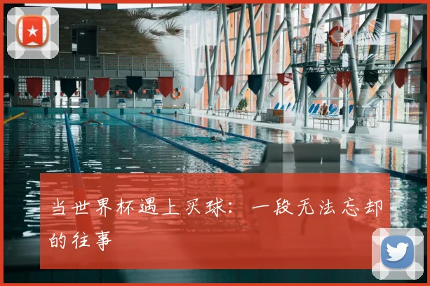 当世界杯遇上买球：一段无法忘却的往事