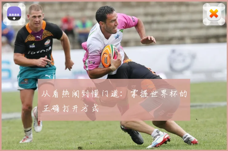 从看热闹到懂门道：掌握世界杯的正确打开方式