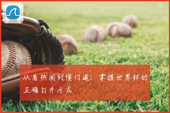 从看热闹到懂门道：掌握世界杯的正确打开方式