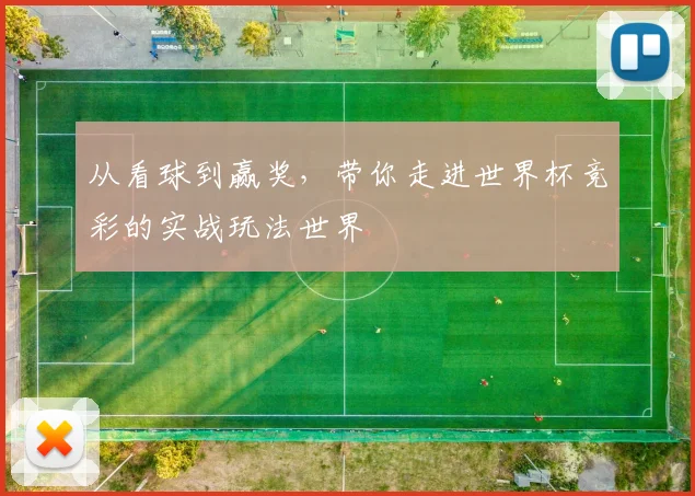 从看球到赢奖，带你走进世界杯竞彩的实战玩法世界