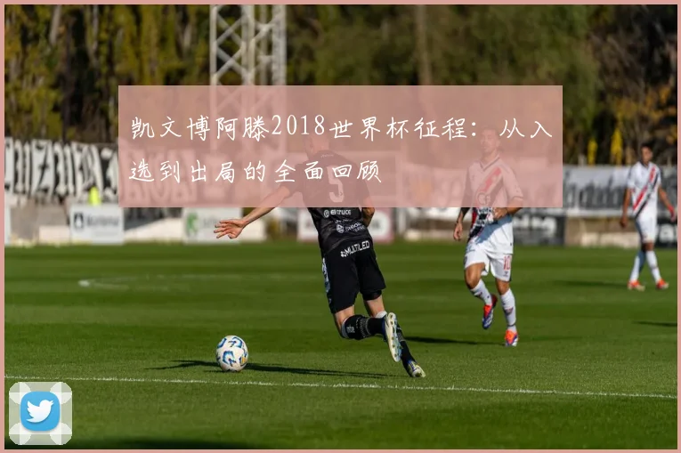 凯文博阿滕2018世界杯征程:从入选到出局的全面回顾